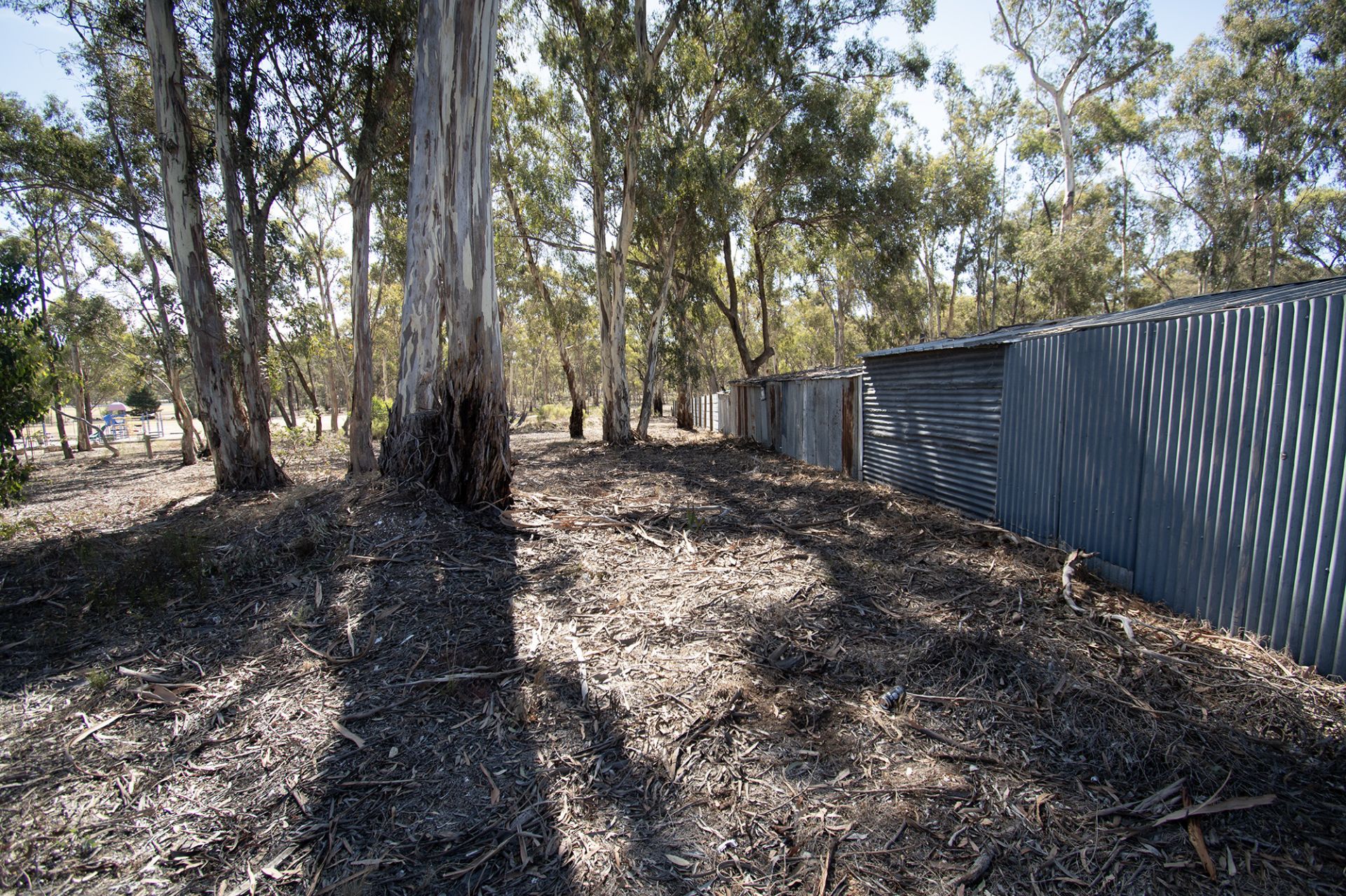 6 Elgin Street, Dunolly - Thumbnail 7