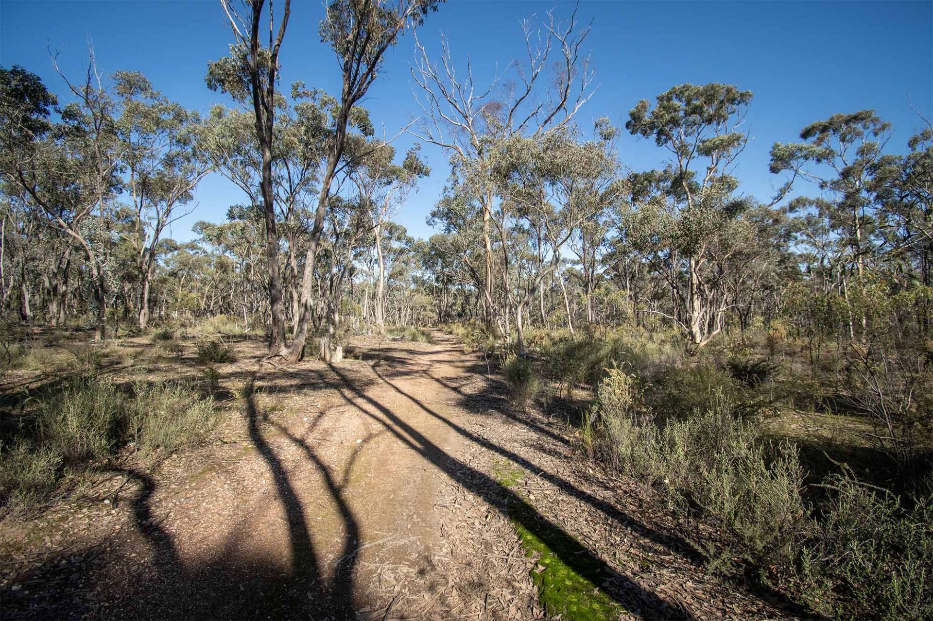268 Moonlight Rd - Moonlight Flat, Maryborough - Thumbnail 8