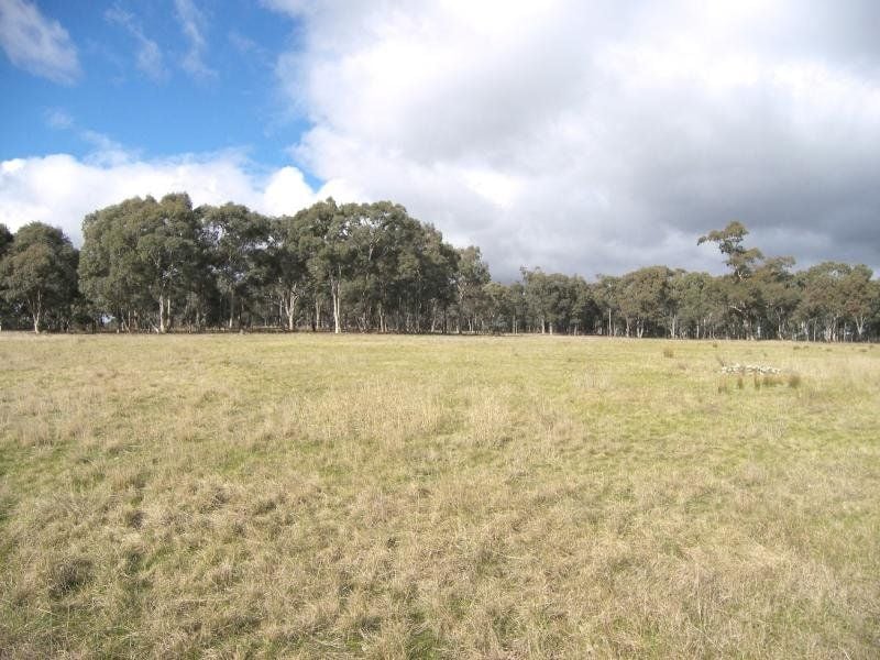 Axe Creek, Axe Creek - Thumbnail 5