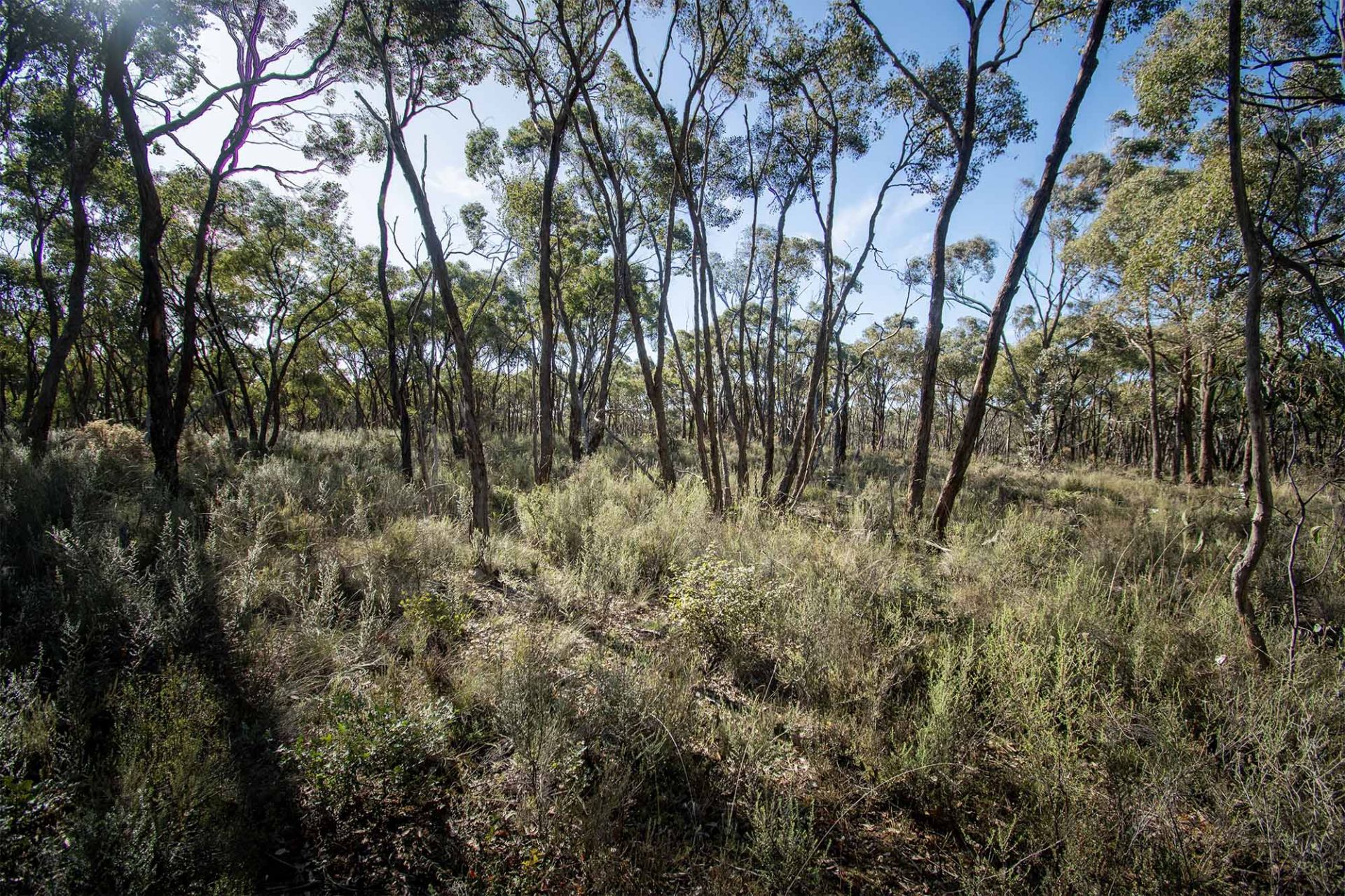 45 Lyle Lead Rd Moonlight Flat Via, Maryborough - Thumbnail 6