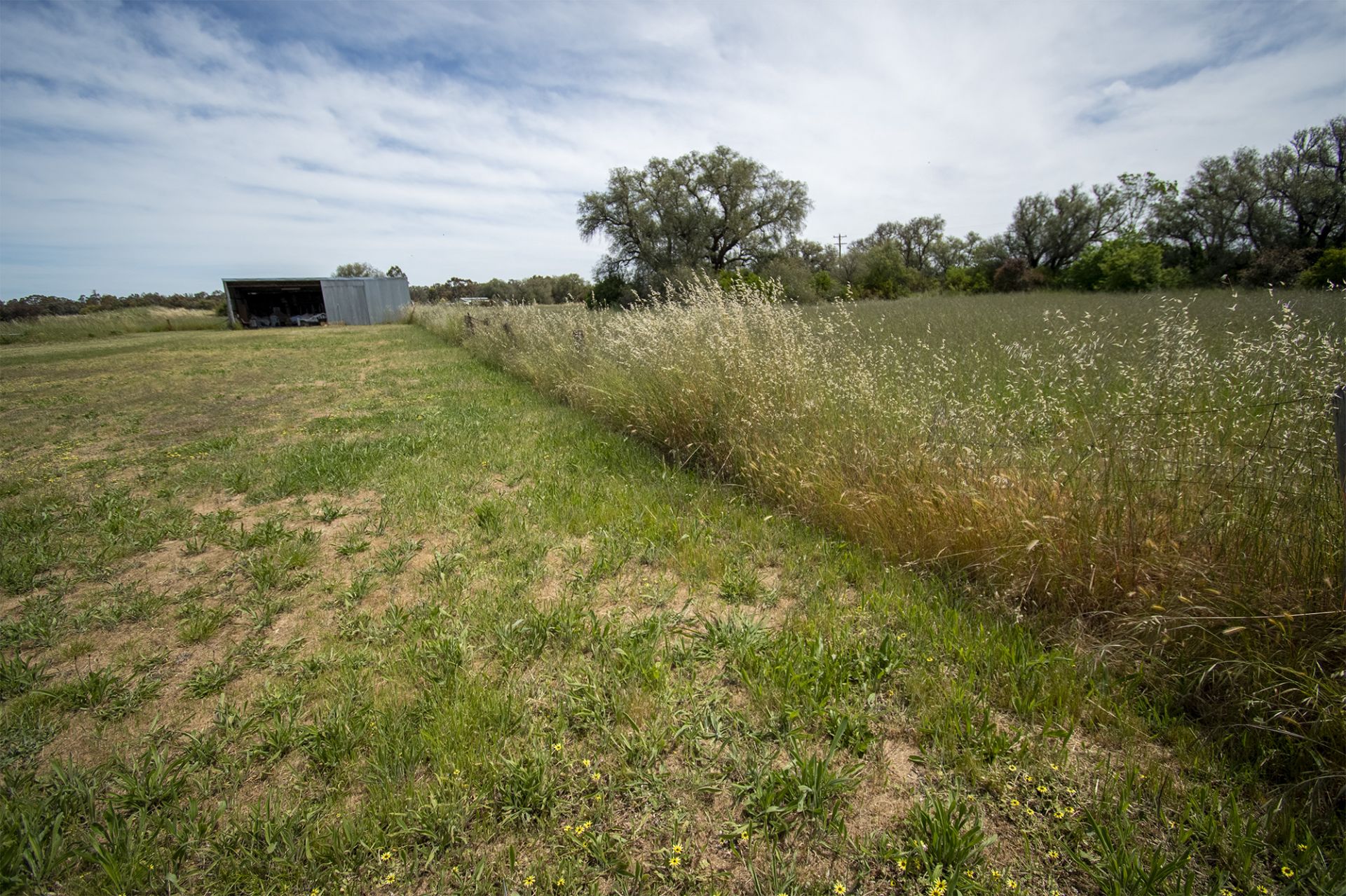 Lot 1 of 9 Maude Street, Dunolly - Thumbnail 6
