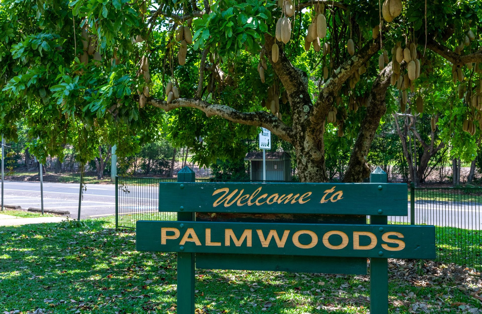 15/31 Abbotts Road Palmwoods QLD, Palmwoods - Thumbnail 4