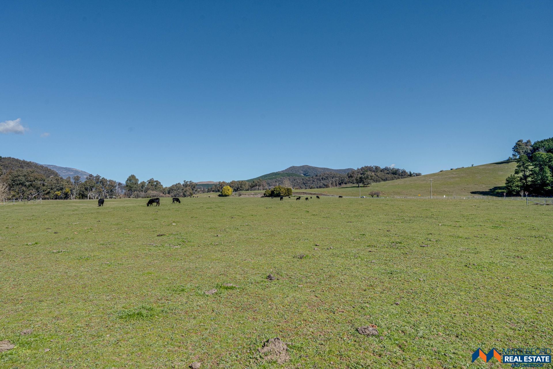 367 Merriang South Road, MYRTLEFORD, Myrtleford - Thumbnail 4