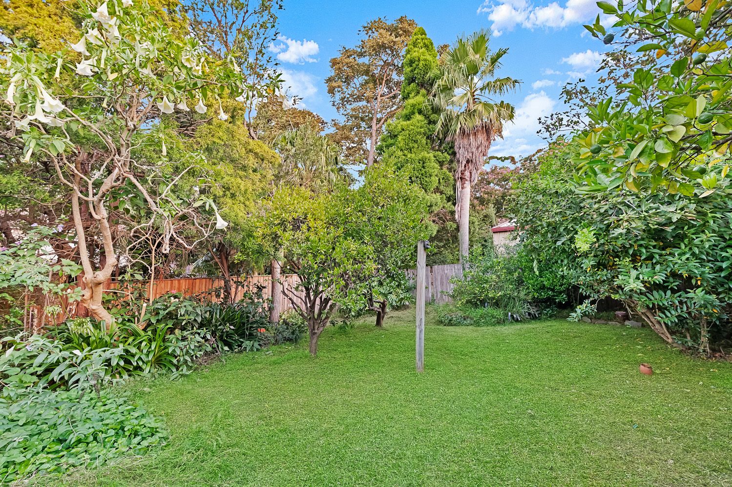 16 Buckingham Avenue, Normanhurst, Normanhurst - Thumbnail 3