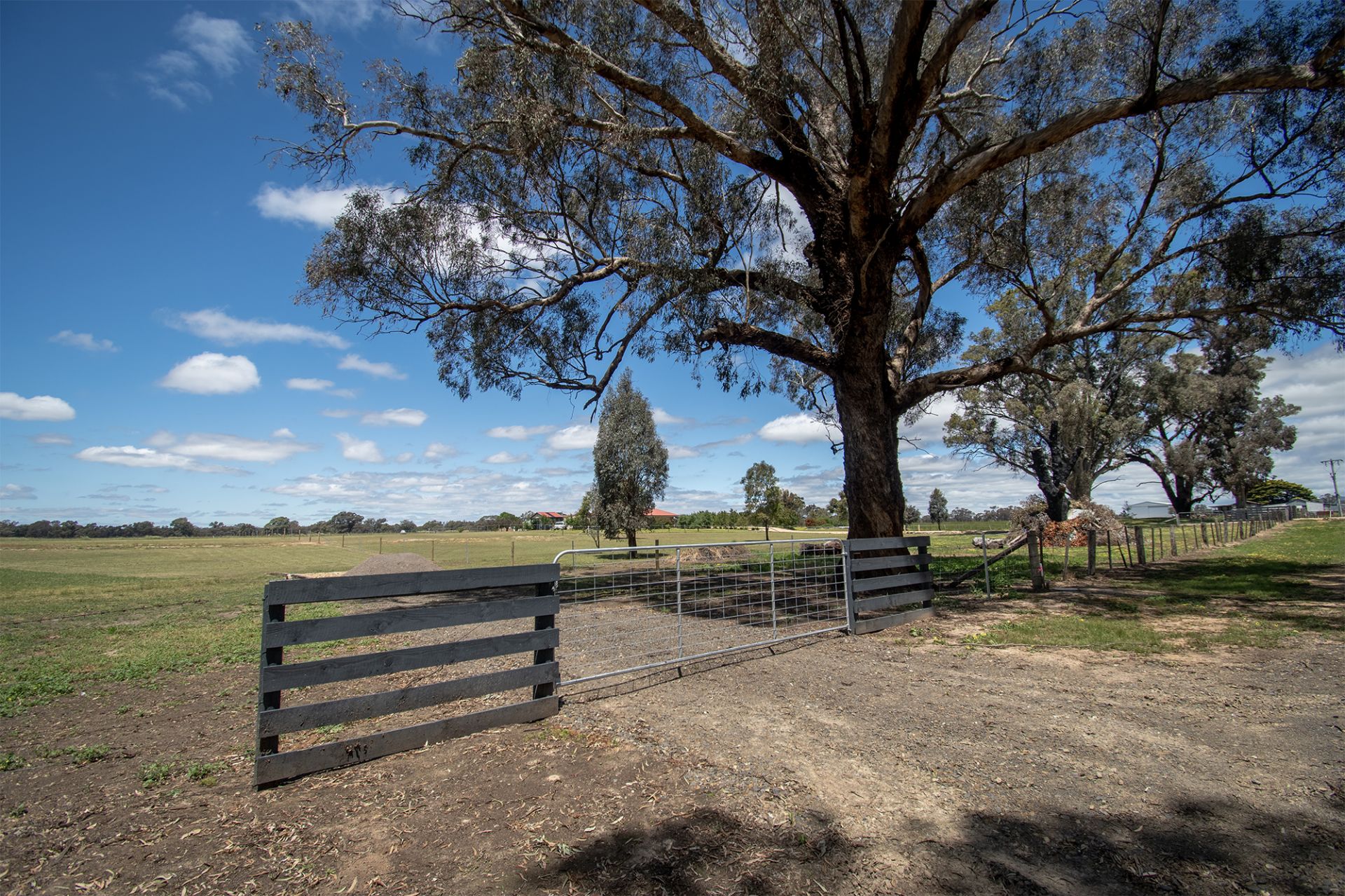 116 Harts Lane, Avoca - Thumbnail 8