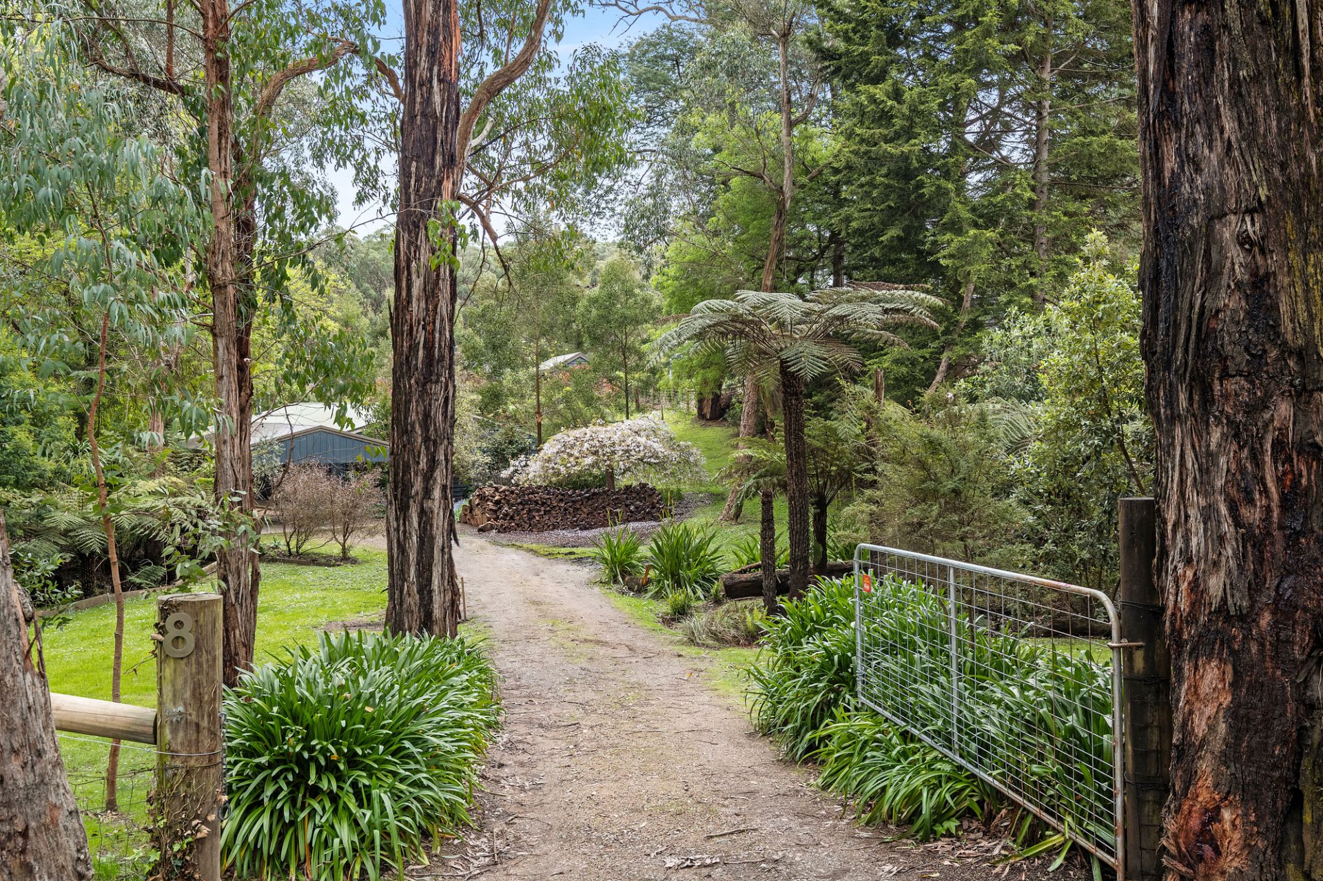 8-12 Elizabeth Road, Red Hill, Red Hill - Thumbnail 2