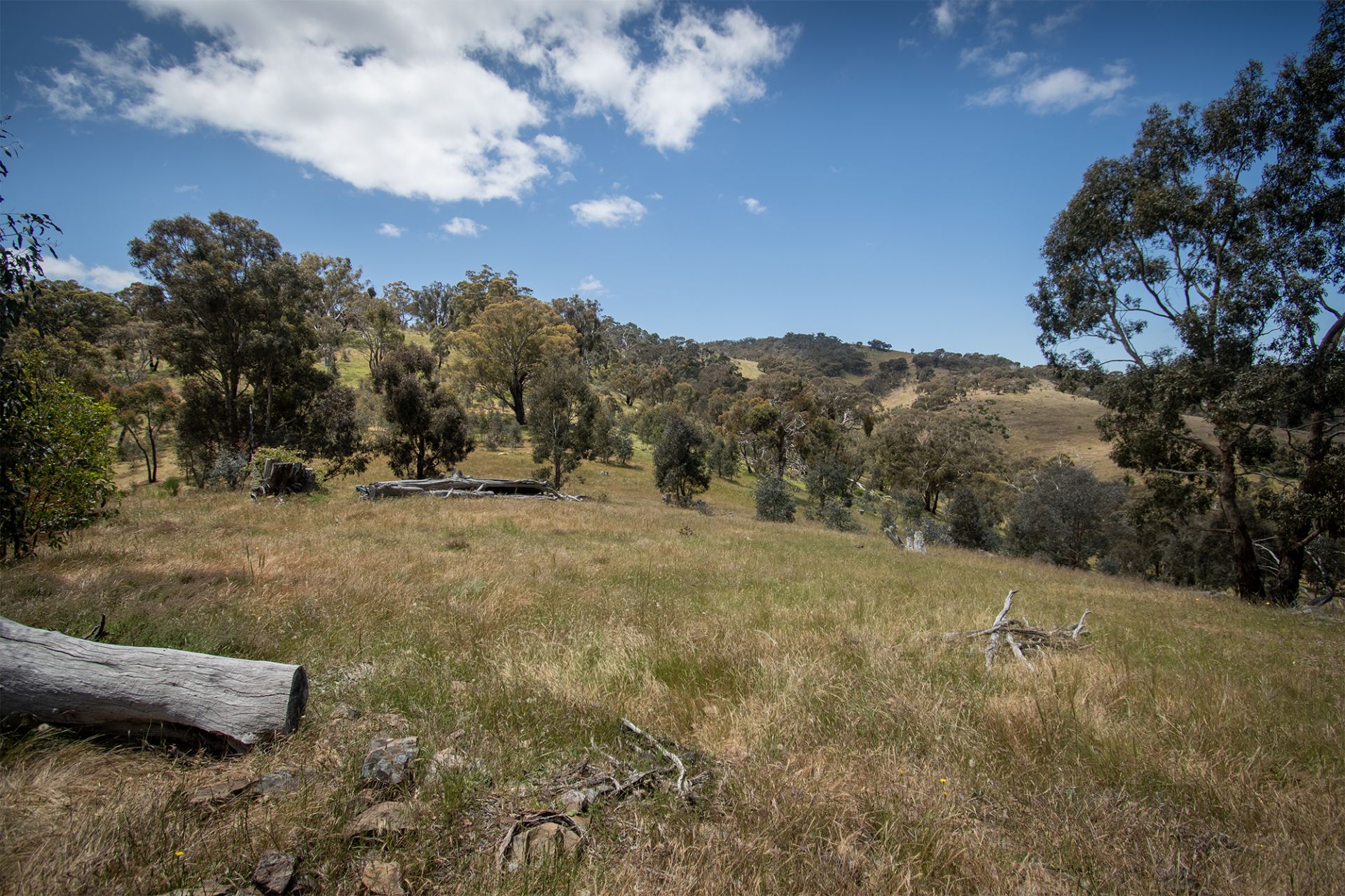 233 Tormeys Lane, Moonambel - Thumbnail 3