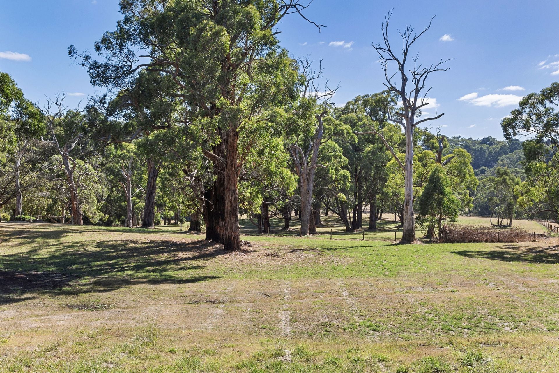 195 Point Leo Road, Red Hill, Red Hill - Thumbnail 8
