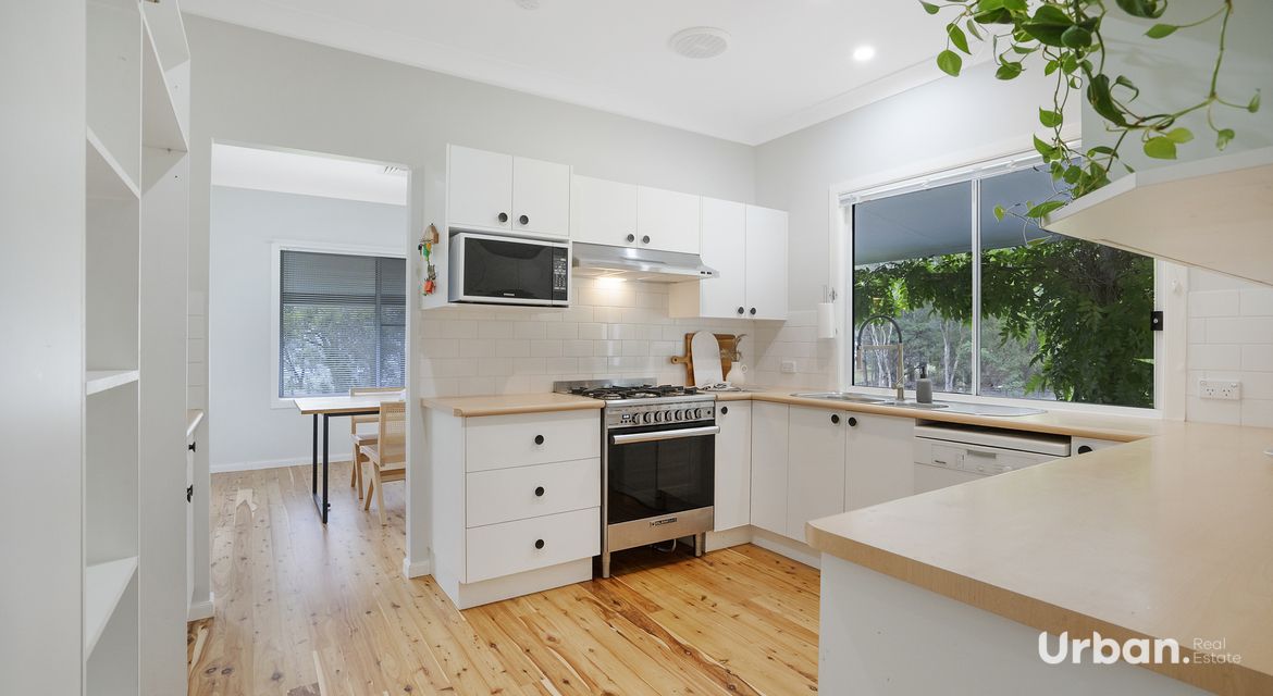 Bellbird 89b Edden Street