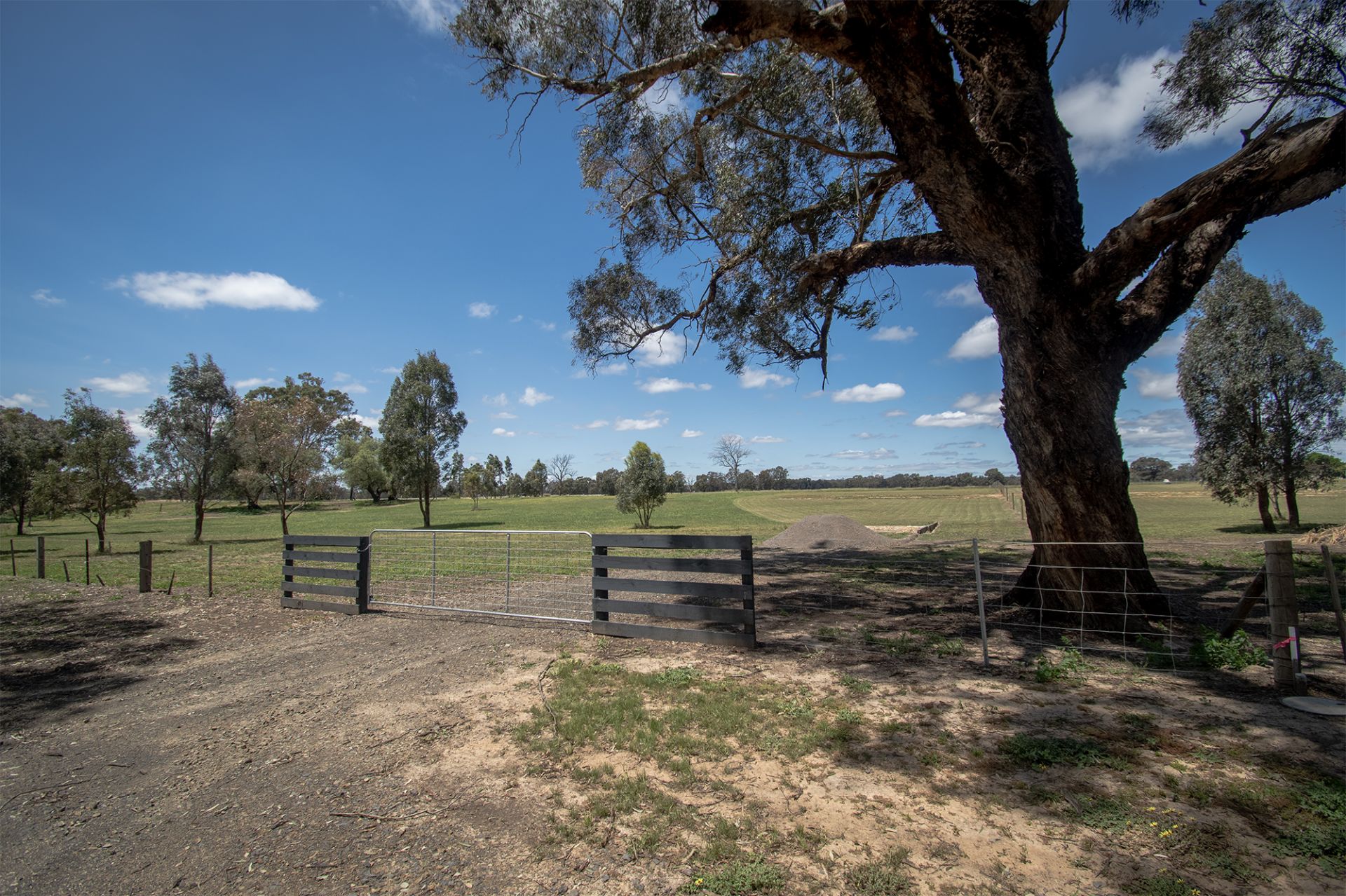 116 Harts Lane, Avoca - Thumbnail 6