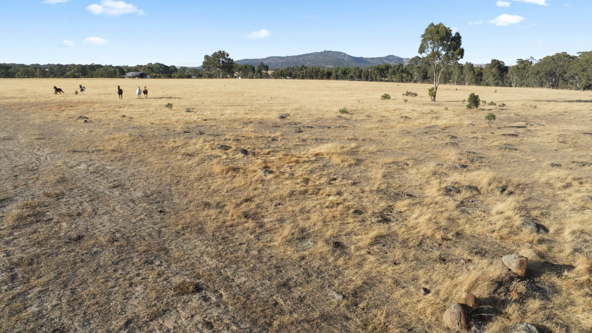 Lot 1, 3900 Ballarat- Maryborough Road, Clunes, Ballarat- Maryborough Road - Thumbnail 6