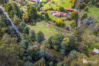 38 Winifred Avenue, Acacia Hills, Acacia Hills - Thumbnail 3