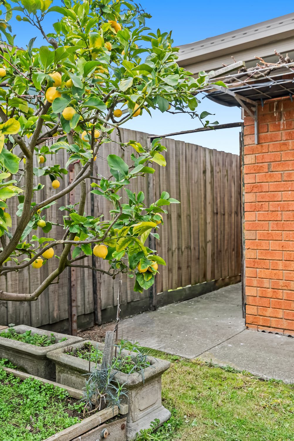 Front Unit with Private Driveway & No Owners Corp Fees
