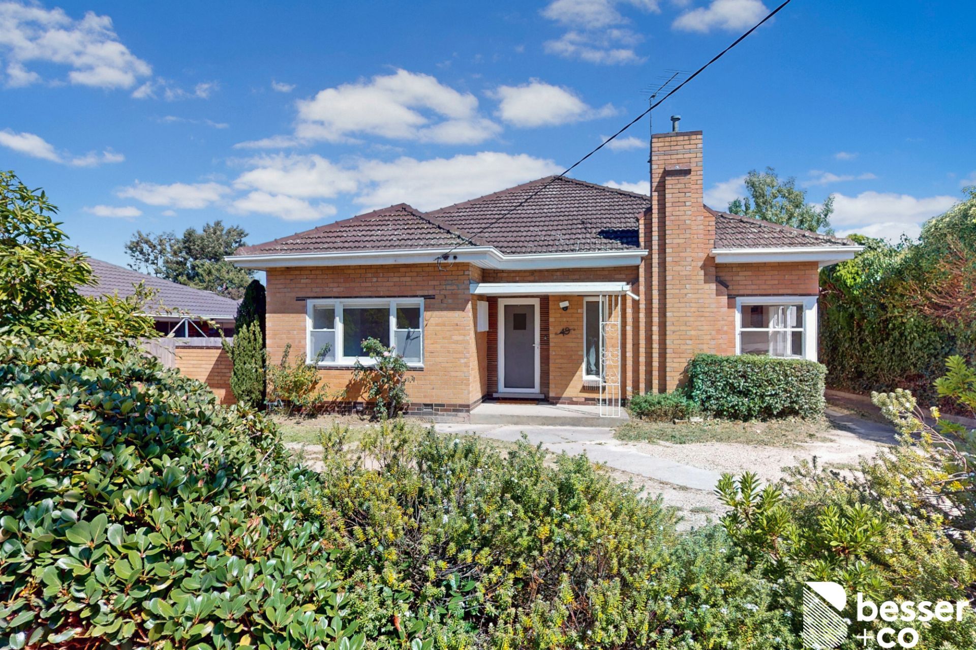 49 Wright Street, McKinnon - Thumbnail 4