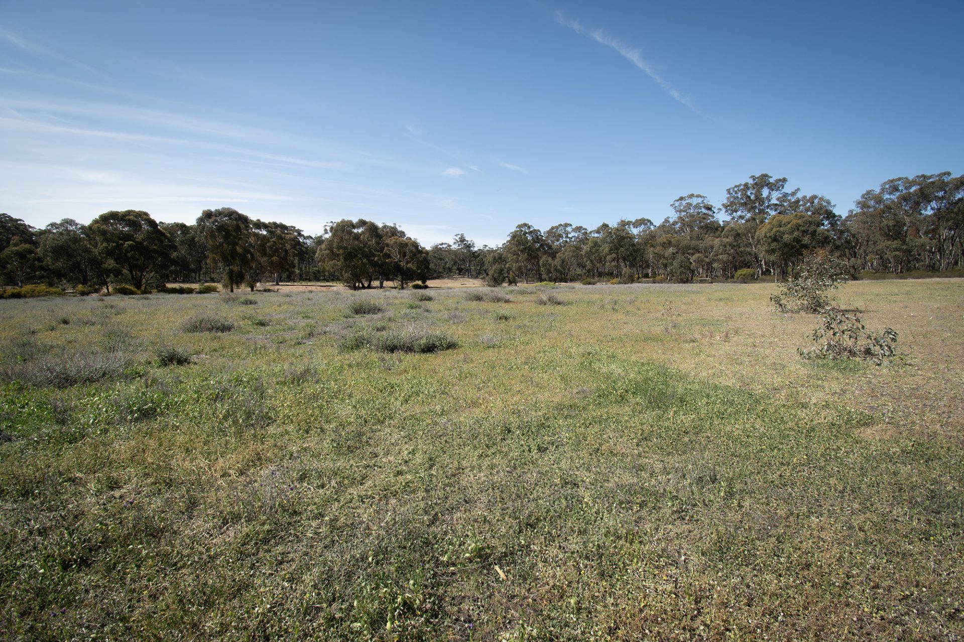 CA8 SECTIO Rheola-Arnold Road, Rheola - Thumbnail 3