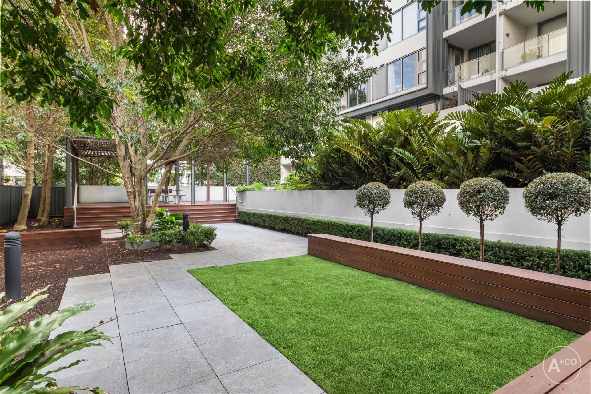 102A/810 Elizabeth Street, Waterloo, Waterloo - Thumbnail 8