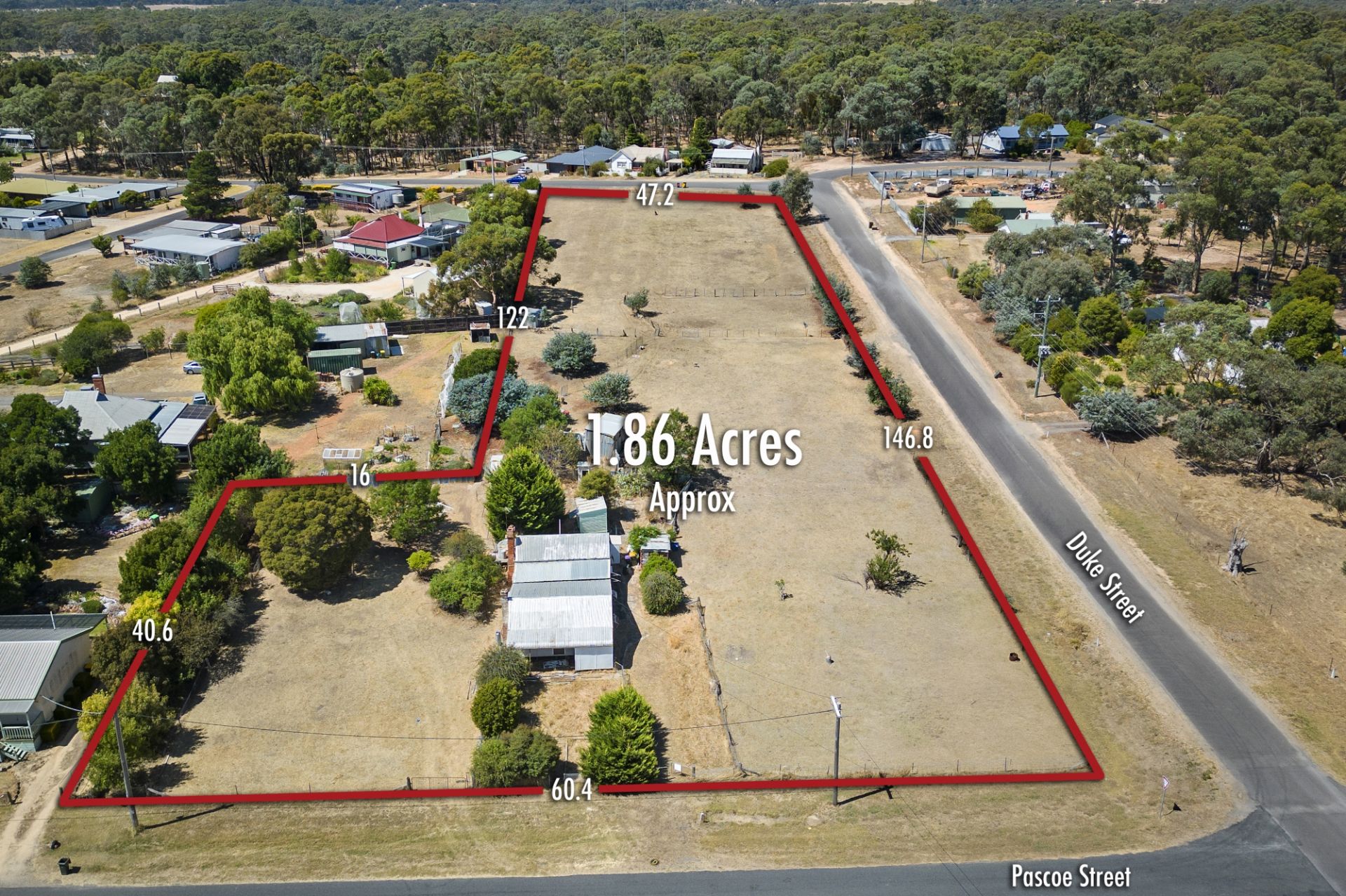 60 Pascoe Street, Avoca - Thumbnail 5