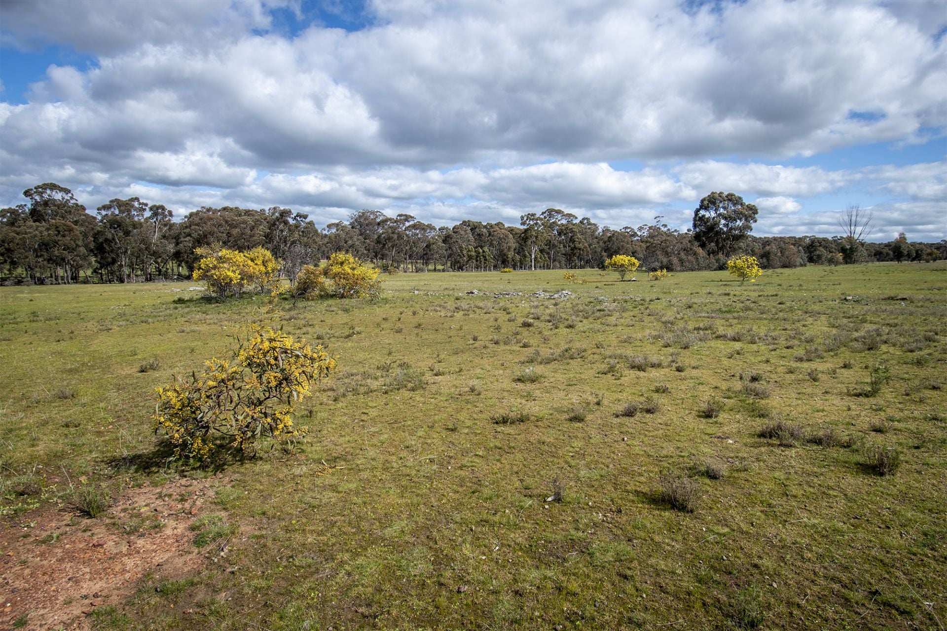 472 Stuart Mill Road, Dunolly - Thumbnail 2