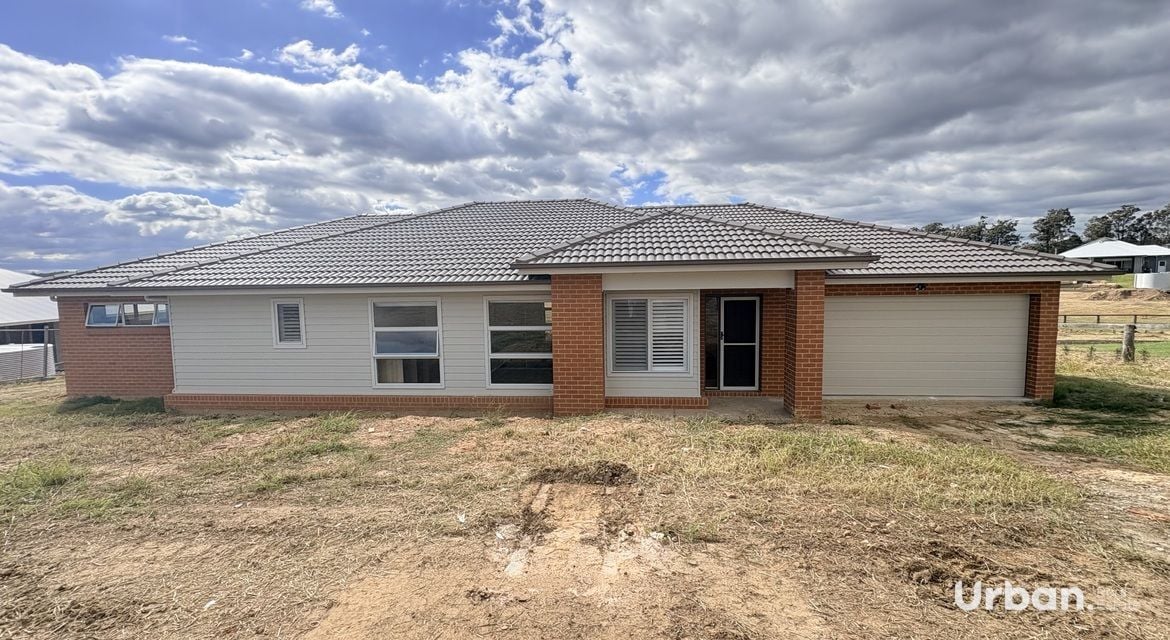 Branxton 12 Pistacia Grove