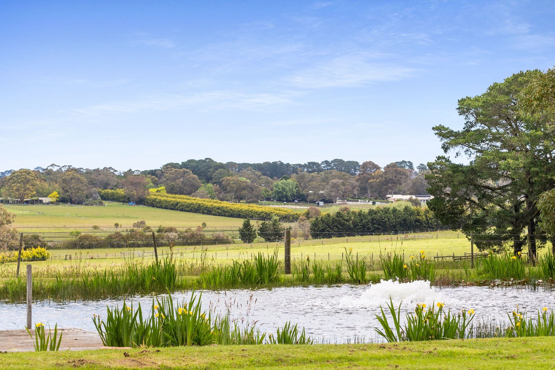 259A Myers Road, Balnarring, Balnarring - Thumbnail 3