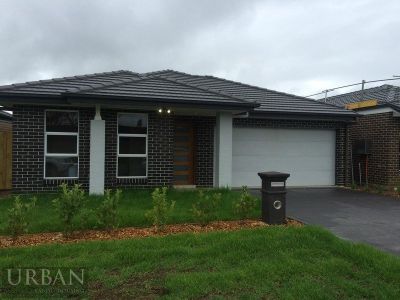 Colebee, 38 Summerland Crescent