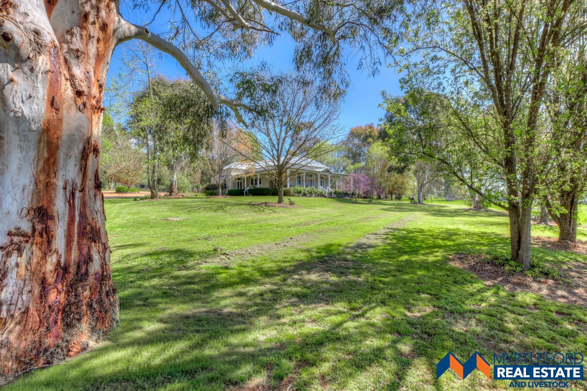 714 Happy Valley Road, MYRTLEFORD, Myrtleford - Thumbnail 3