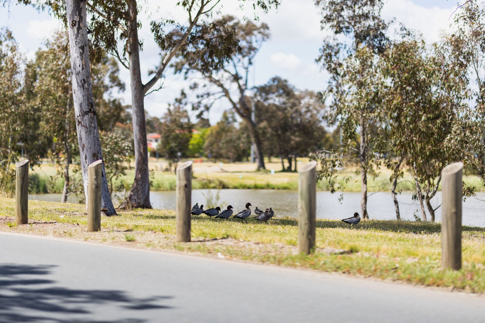 37 Ormiston Circuit, Harrison, Harrison - Thumbnail 2