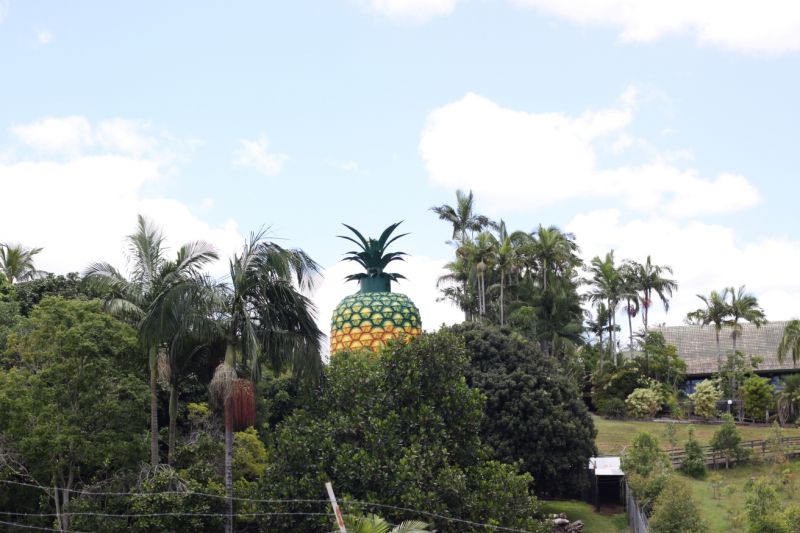 1 Leafy Lane Chevallum QLD, Chevallum - Thumbnail 8