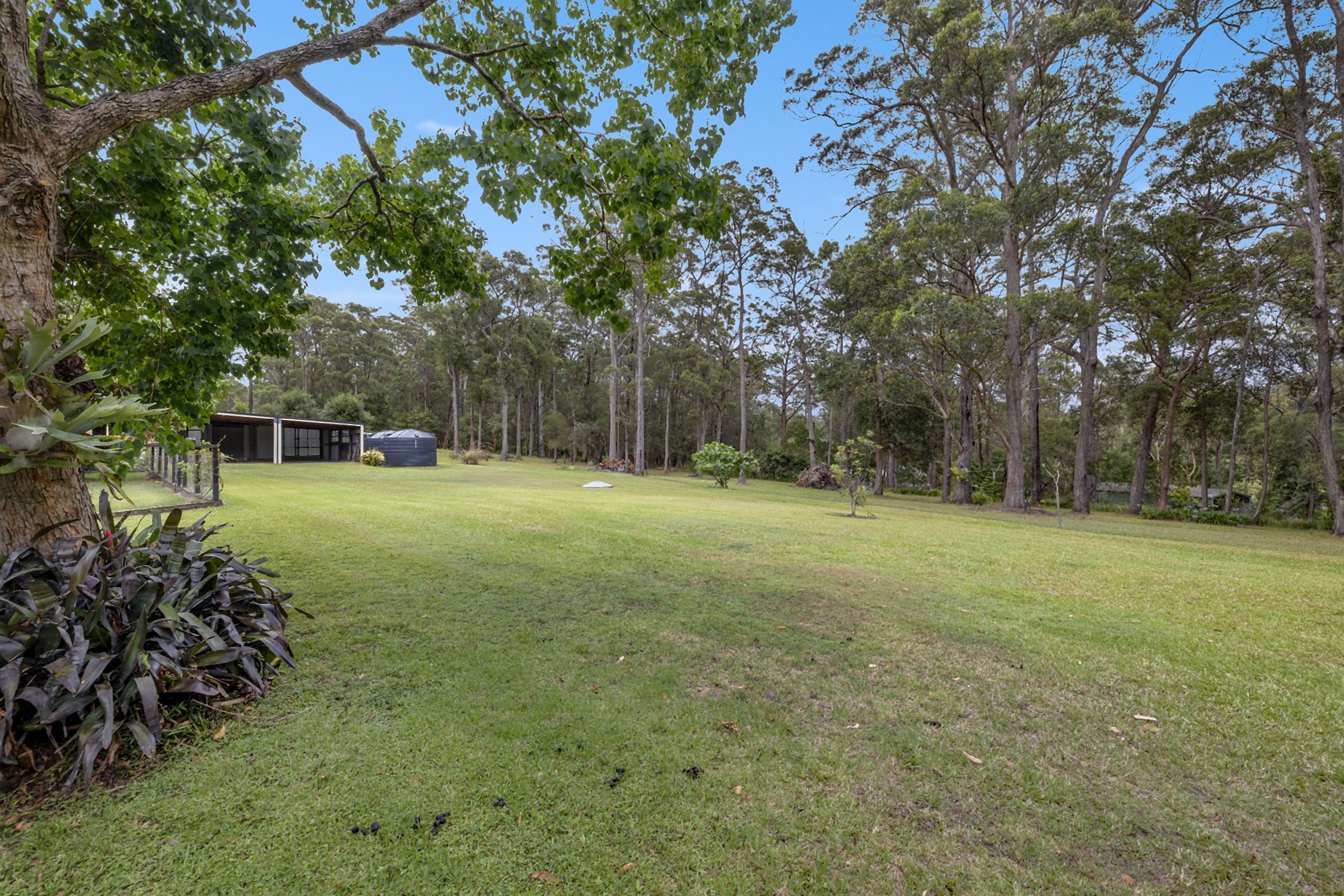14 Glen Haven Drive, KEW NSW 2439