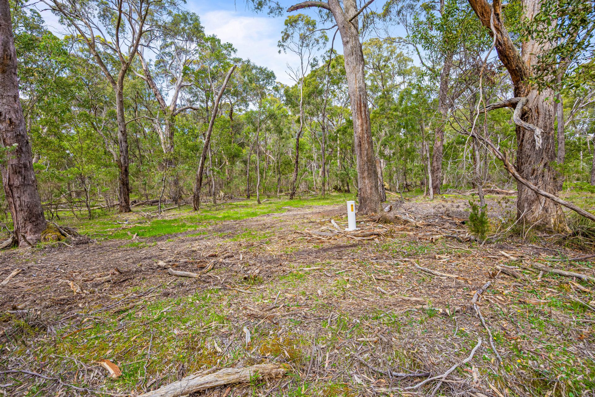 3/ Victoria Road Scarsdale VIC, Scarsdale - Thumbnail 8