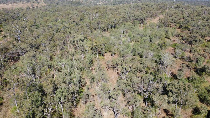 67 Bawdens Road, Moolboolaman, Moolboolaman - Thumbnail 5