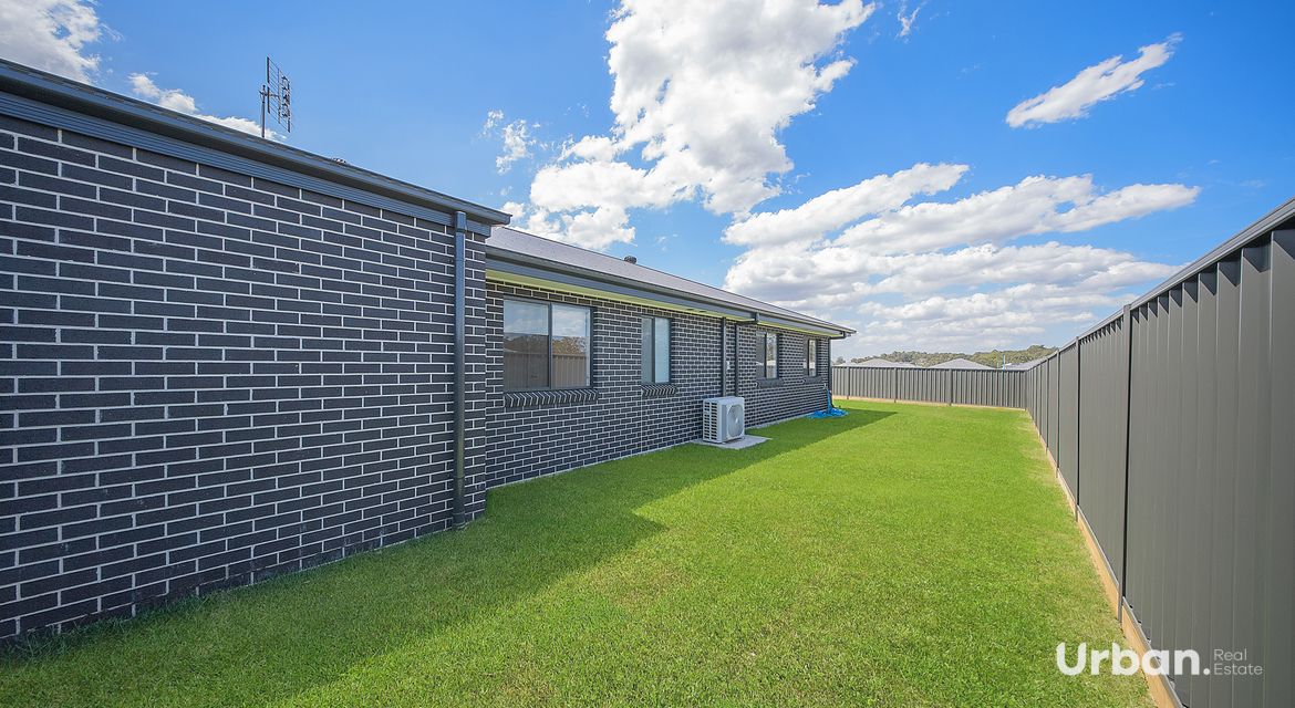 Bellbird 68 Abbotsford Street