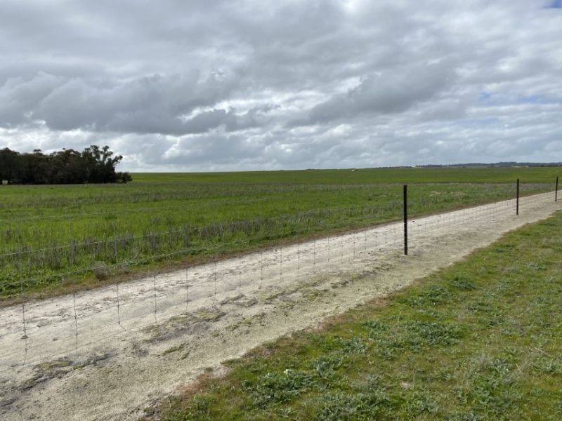 190 Dixons Road Townsendale WA, Townsendale - Thumbnail 4