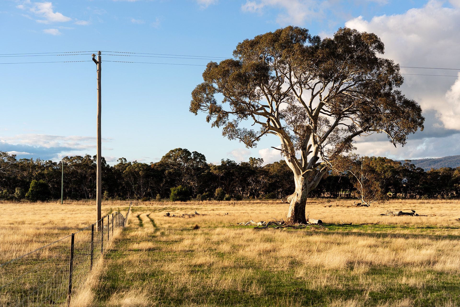 Lot 12/ Main Street, Buangor VIC 3375