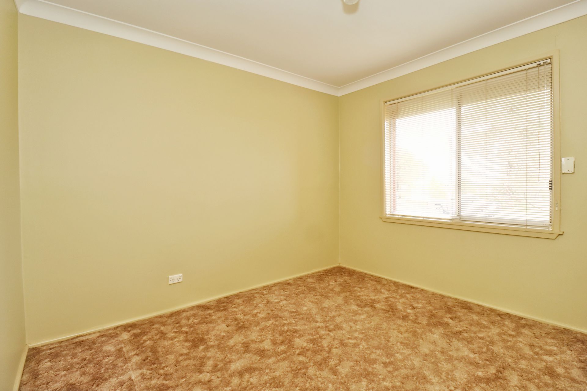 19 Newcombe Street, COWRA, Cowra - Thumbnail 8