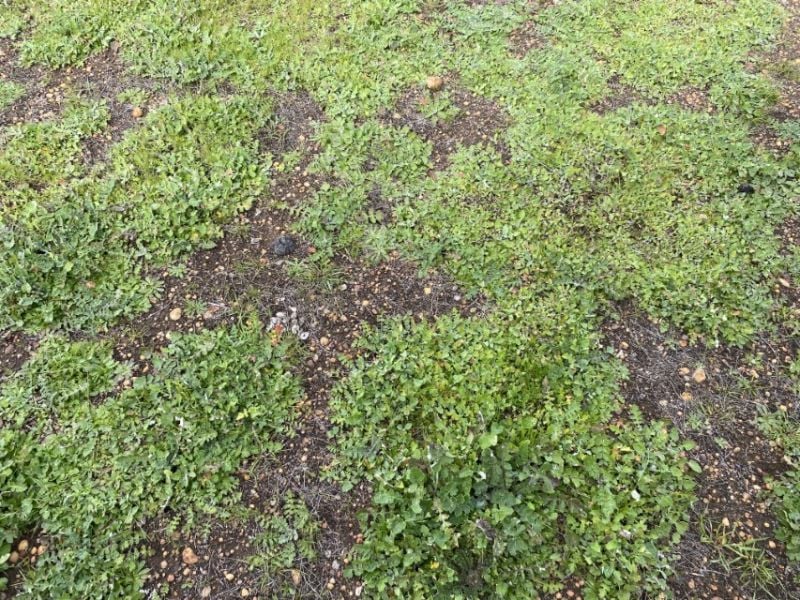 190 Dixons Road Townsendale WA, Townsendale - Thumbnail 2