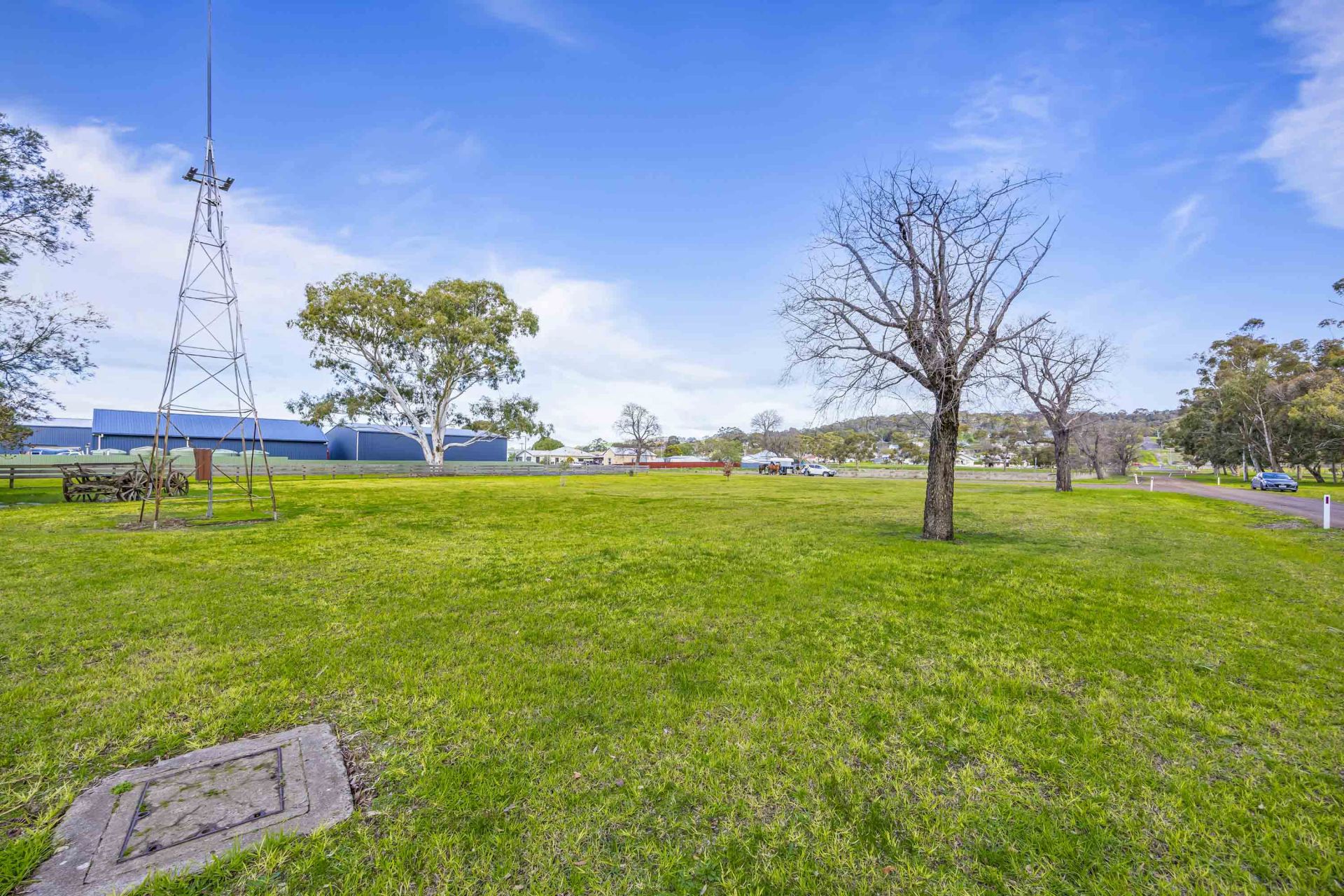 118 McLeod Street, Coleraine, Coleraine - Thumbnail 6