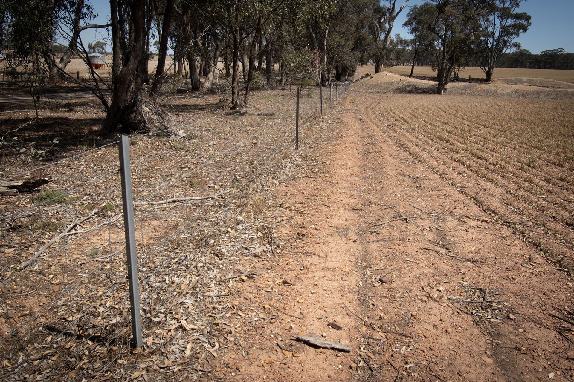 52 Tunstalls Road, Bealiba - Thumbnail 8