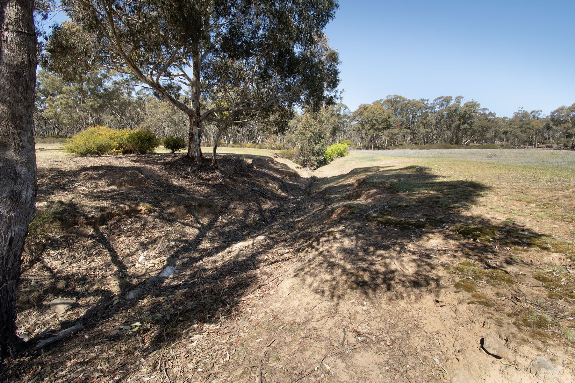 CA8 SECTIO Rheola-Arnold Road, Rheola - Thumbnail 7