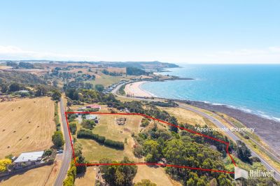5
 
 
 
  
 
 
 2
 
 
 
  
 
 
 4
 
 
 
 
 
 
 
 56 West Ridge Road, Penguin TAS 7316, Penguin - Thumbnail 3