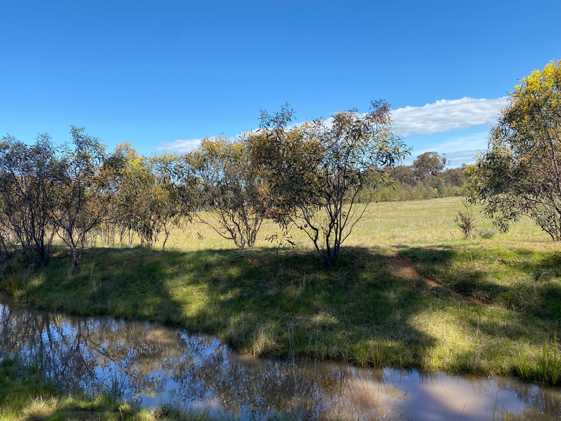25/ Dunolly-Rheola Road, Dunolly - Thumbnail 5
