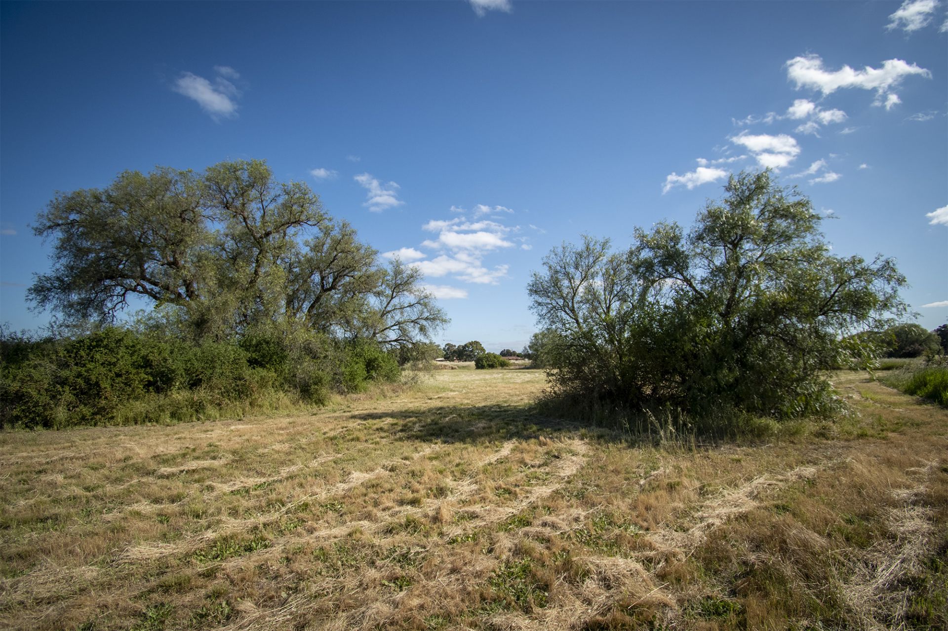 1 REAR/93 Maude Street, Dunolly - Thumbnail 7