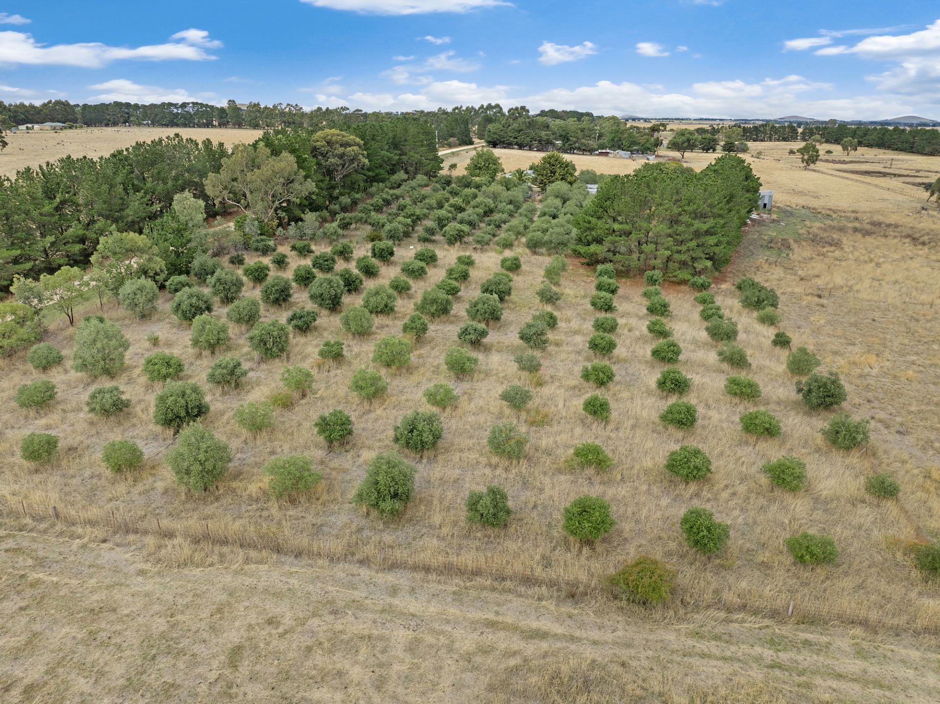 60 Mclennans  Road, Clunes, Clunes - Thumbnail 8