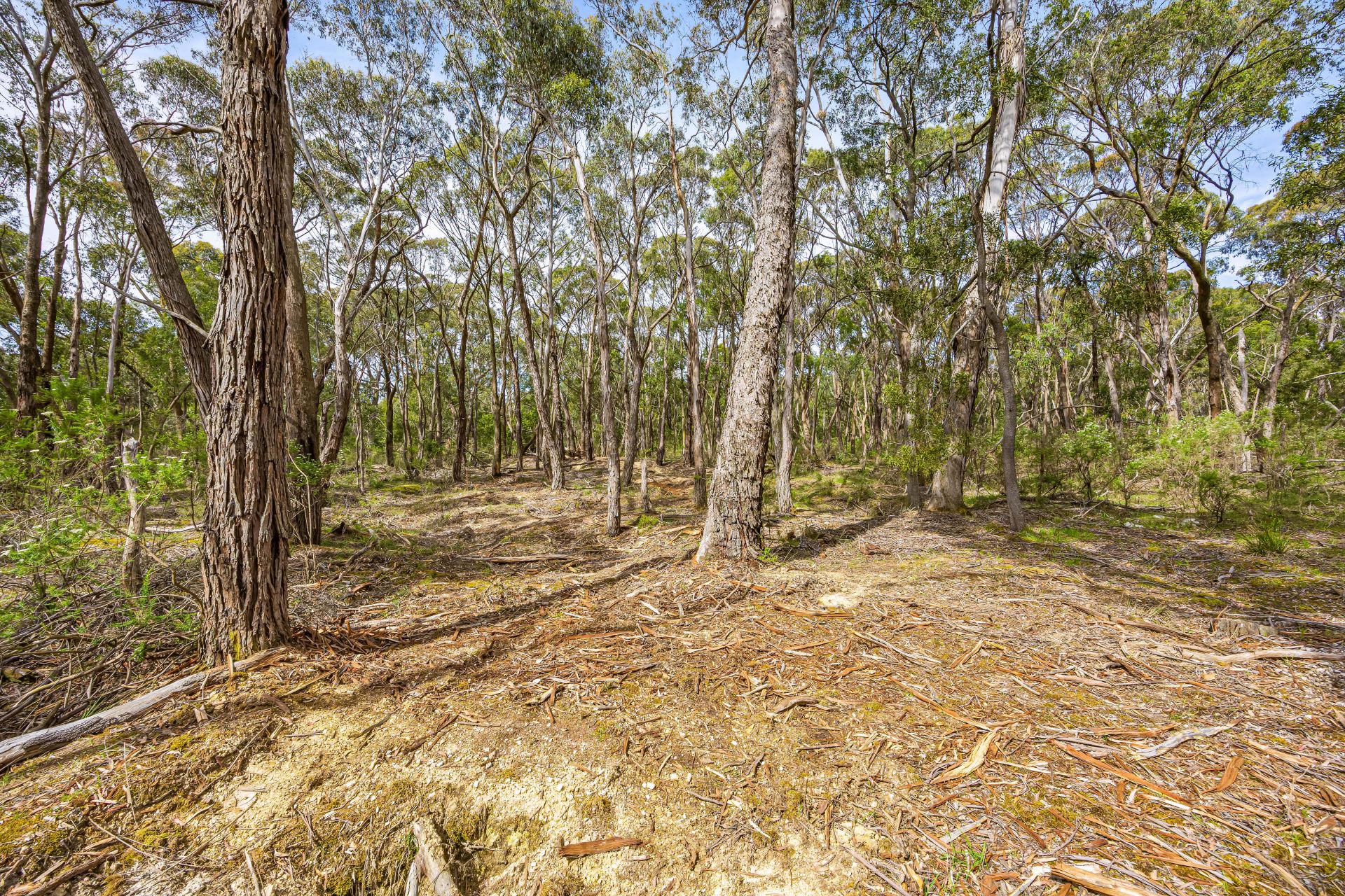 3/ Victoria Road Scarsdale VIC, Scarsdale - Thumbnail 5
