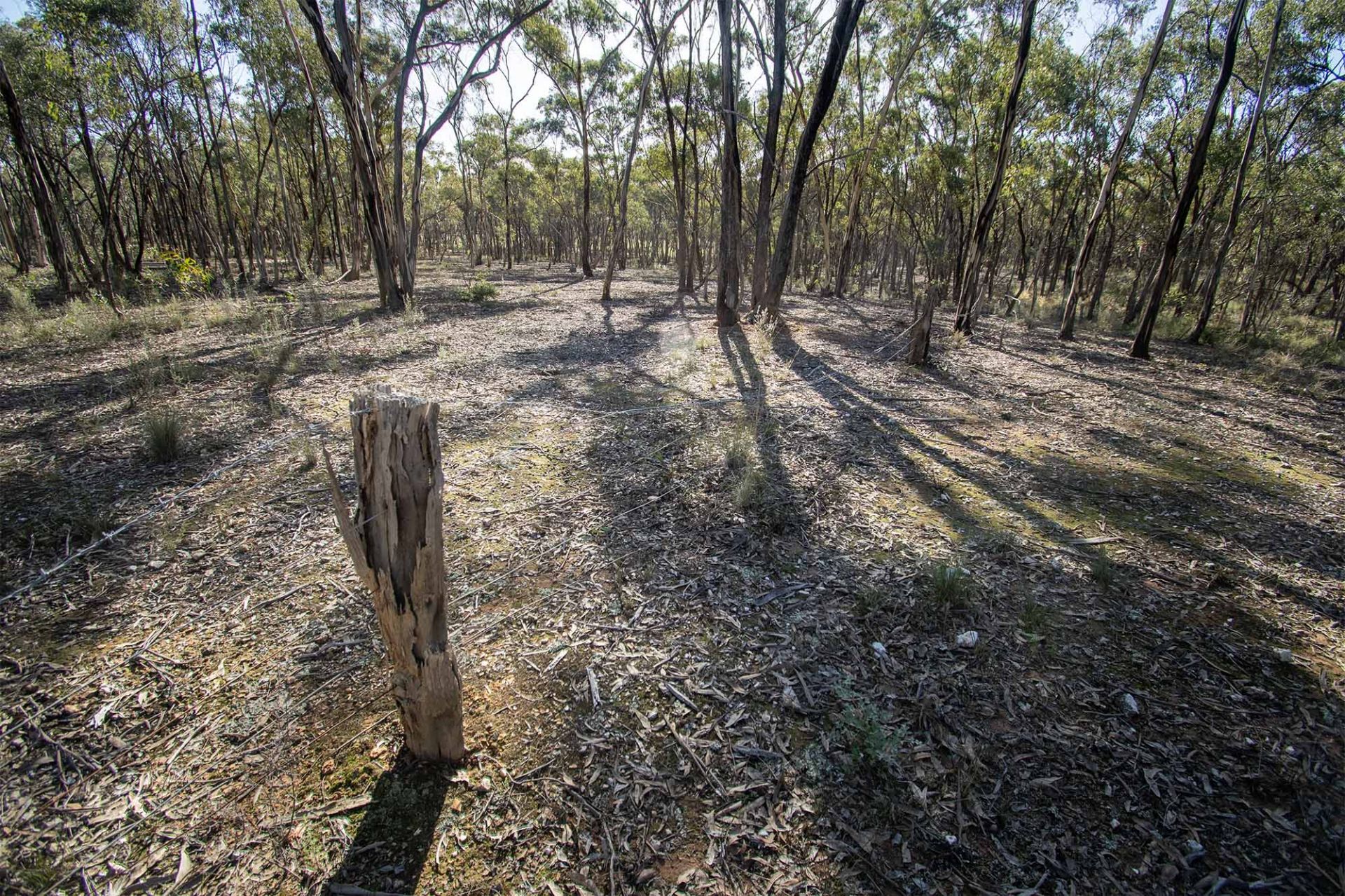 268 Moonlight Rd - Moonlight Flat, Maryborough - Thumbnail 6