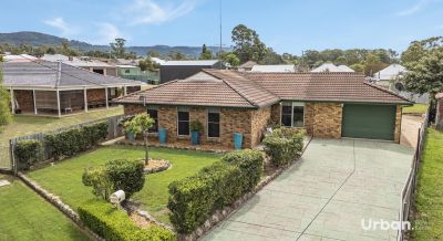 Bellbird 26 Fisher Street