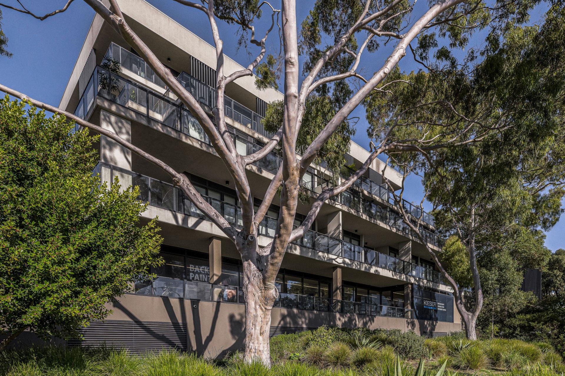 501/220 Bay Road, Sandringham, Sandringham - Thumbnail 2