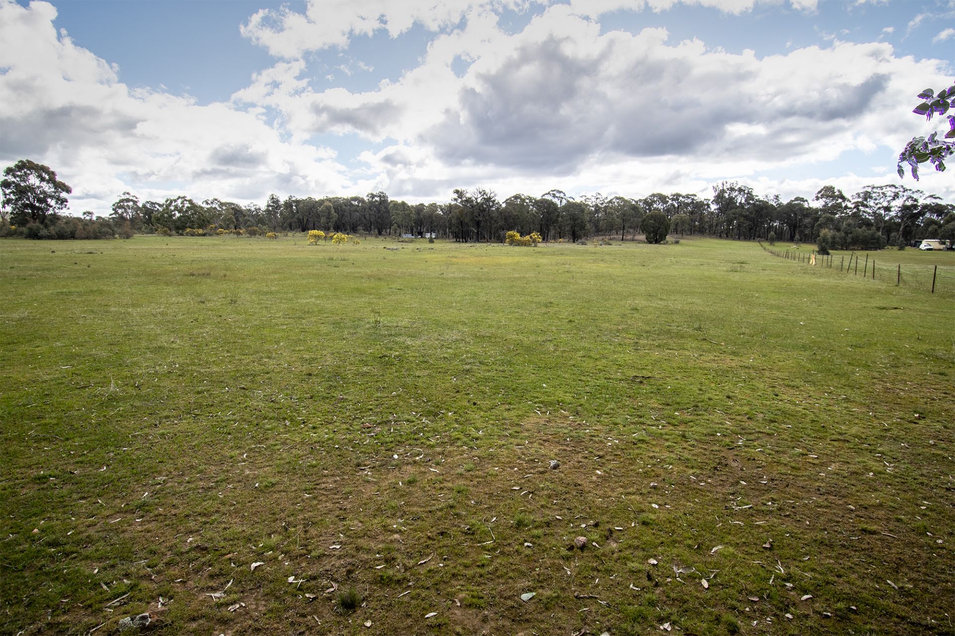 472 Stuart Mill Road, Dunolly - Thumbnail 7